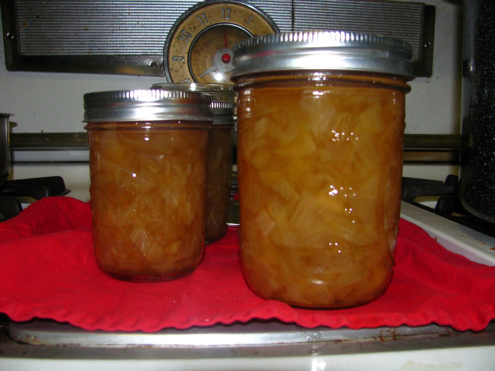 Canned Onions