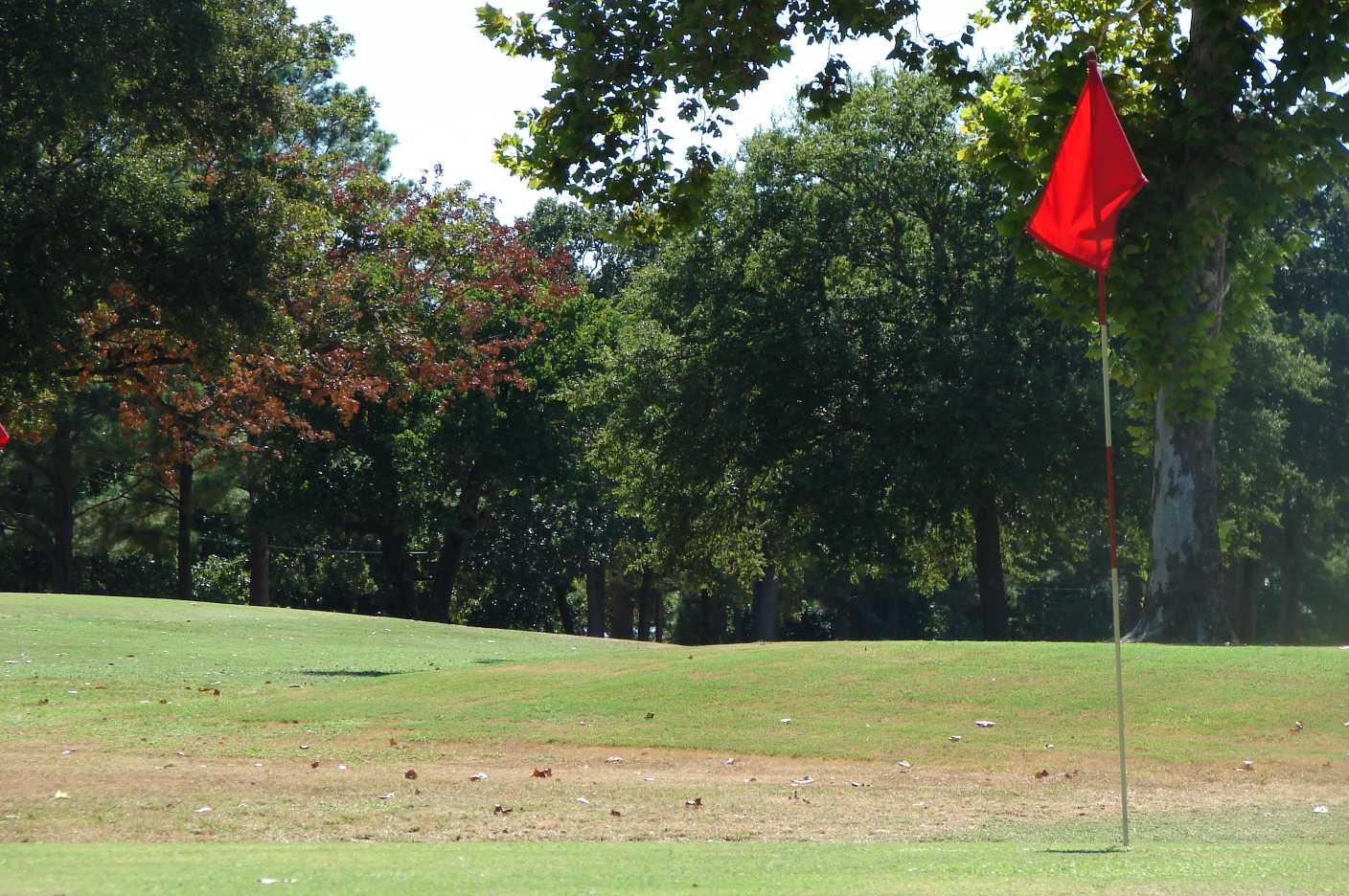 At All Times Listed With Steve Grant Real Estate ( Malakoff / Star