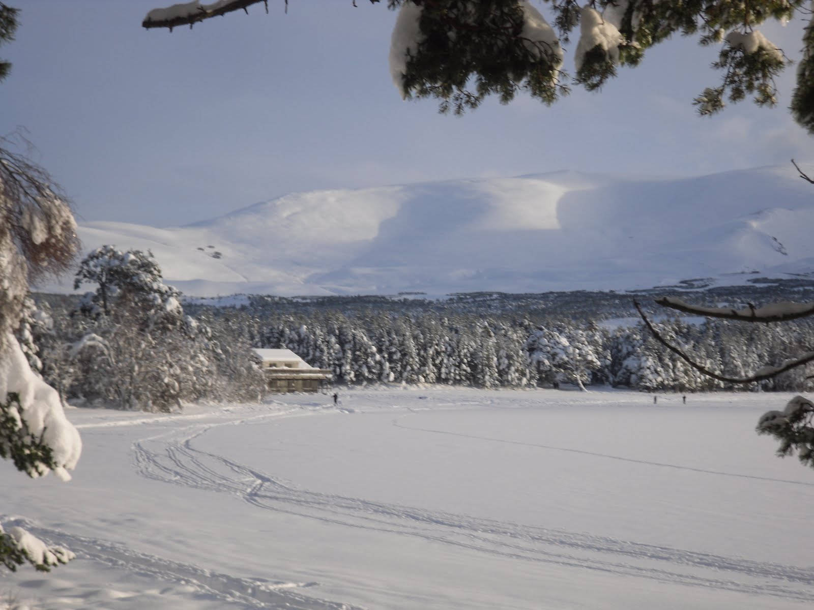 Aviemore Cottages A Winter Sky Over Loch Morlich Cairngorm National Park