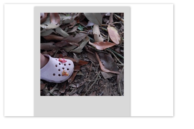 [Colagens.jpg]