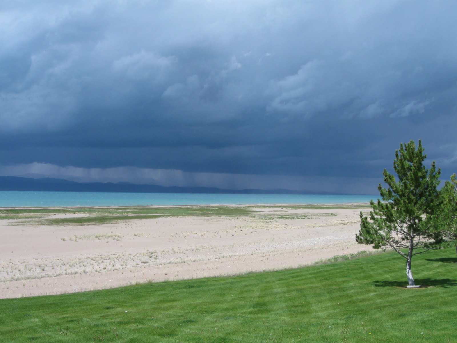 Run Forester Run Bear Lake ID & UT.