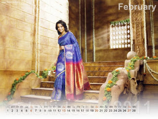 New Year 2011 Calendar, Hot Trisha Desktop Wallpapers