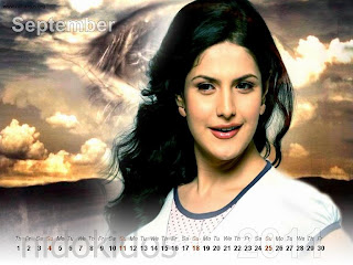 New Year 2011 Calendar, Katrina Lookalike Zarine Khan Desktop Wallpapers