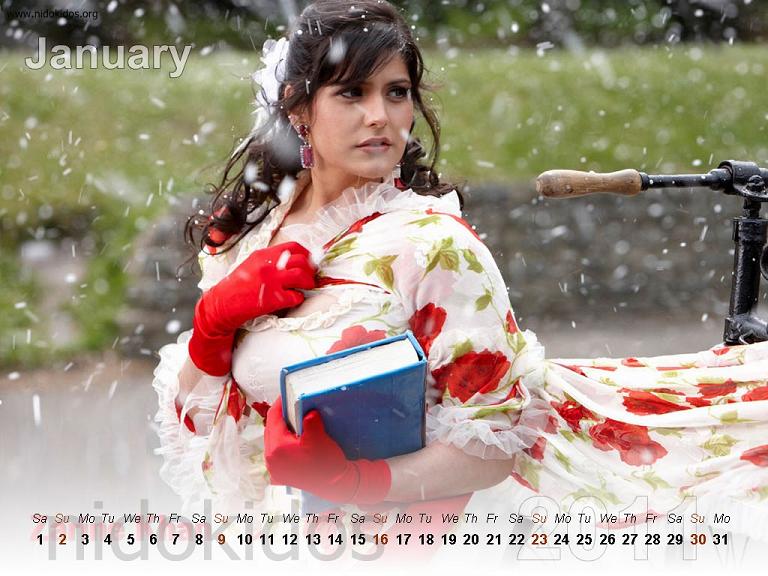 as Desktop Calendar 2011)