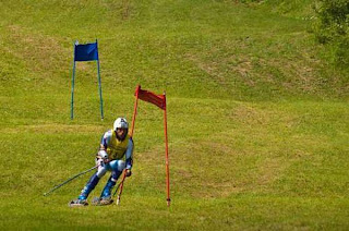 Amazing Photos: Amazing Grass Skiing