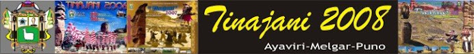 tinajani2008