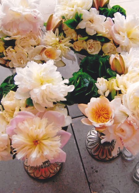 [flower.jpg]