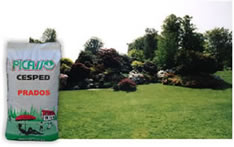 Mezclas de césped. ~ JARDINES al SUR