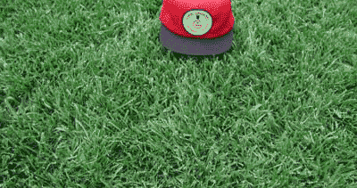 El césped en la sombra. Un problema de todos ~ JARDINES al SUR