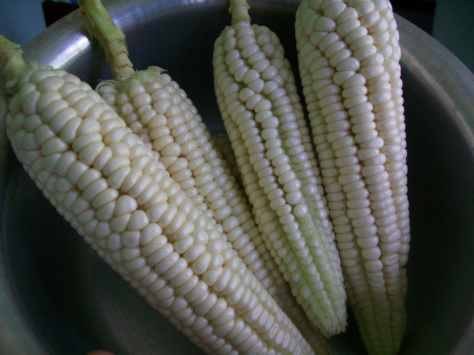 Homemade roasted maize