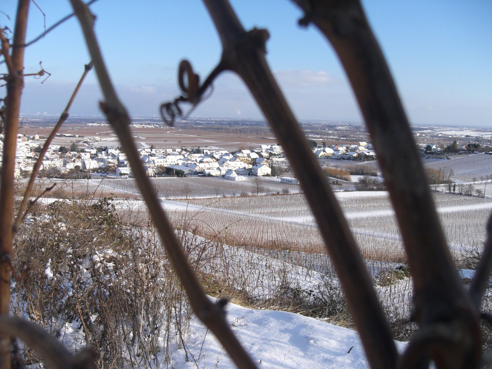 Schiller Wine Meeting Michael Fleischer Fleischer Und Weingut