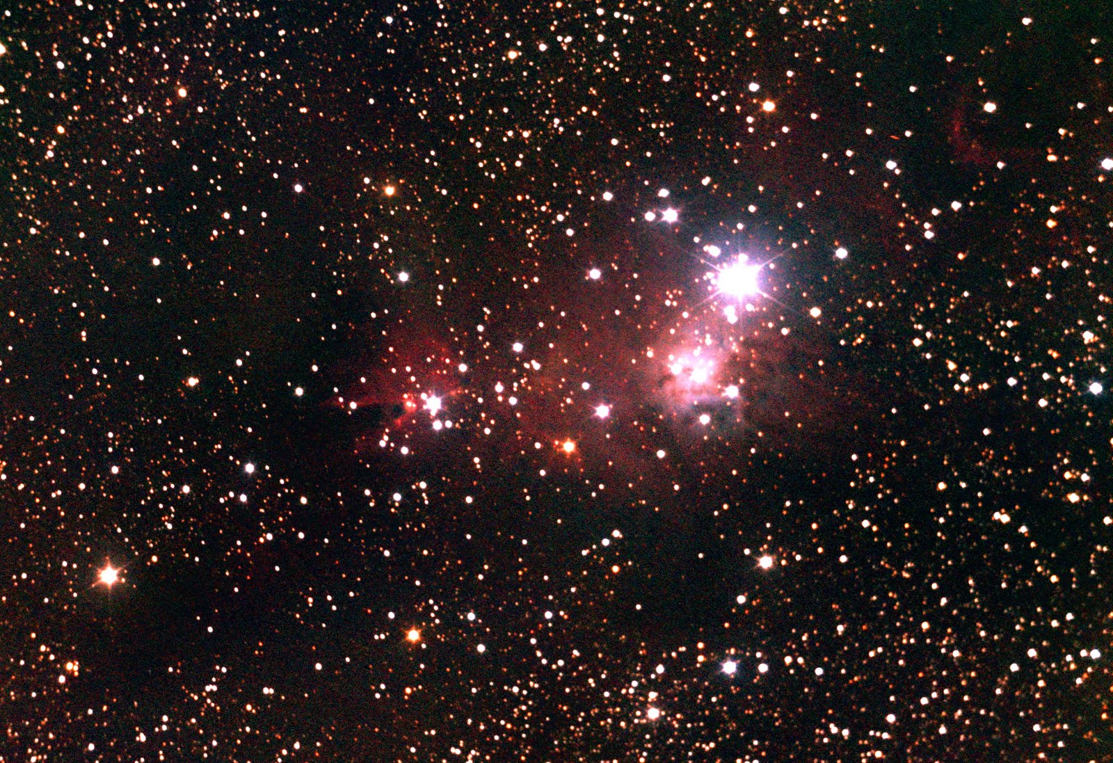 [NGC2264-1211+1209+1025+1019-251minscropnpx5.jpg]