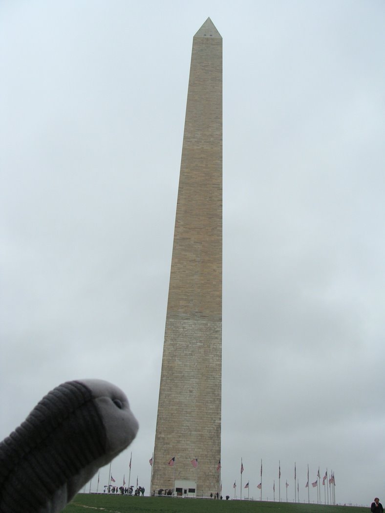 [TrilobiteDC-04.JPG]