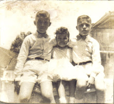 "ZÉ ROBERTO & IRMÃOS"