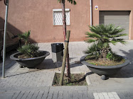 FOTO 2009