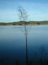 Barragem de Santa Clara