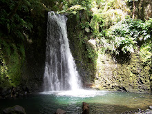 Ilha de S. Miguel - Açores