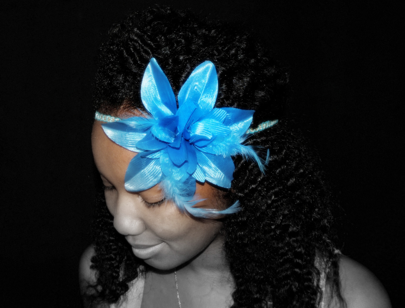 The Moptop The Premier Source For All Things Creative, Fly