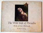 My book, "The Wild Side of Paradise," about birds in our wetlands