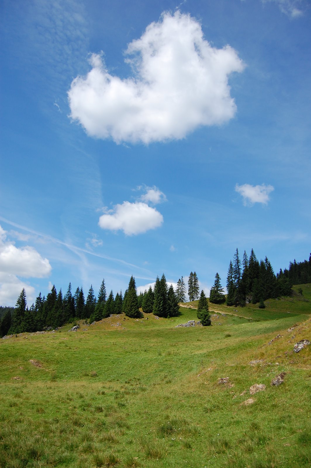 [DSC_1673.JPG]