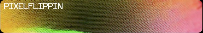 PIXELFLIPPIN