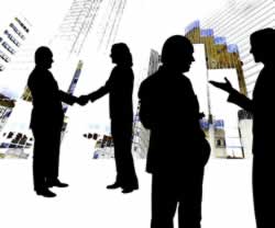 What does a Consultant DO?