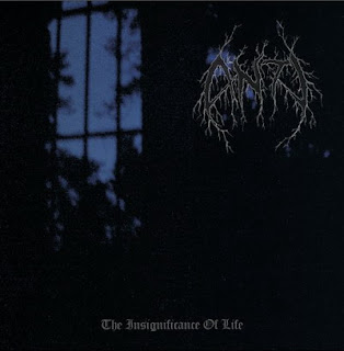 http://2.bp.blogspot.com/_XWpUoNpnzZY/SExgNGkf_ZI/AAAAAAAAAA4/uhIiiJo7QcE/s320/The%2Binsignificance%2Bof%2Blife.jpg