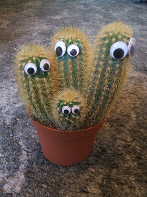 The Dripping Cactus: Googly Eyed Cactus