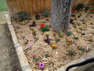 CC DESIGNS: Front Yard Flowerbed