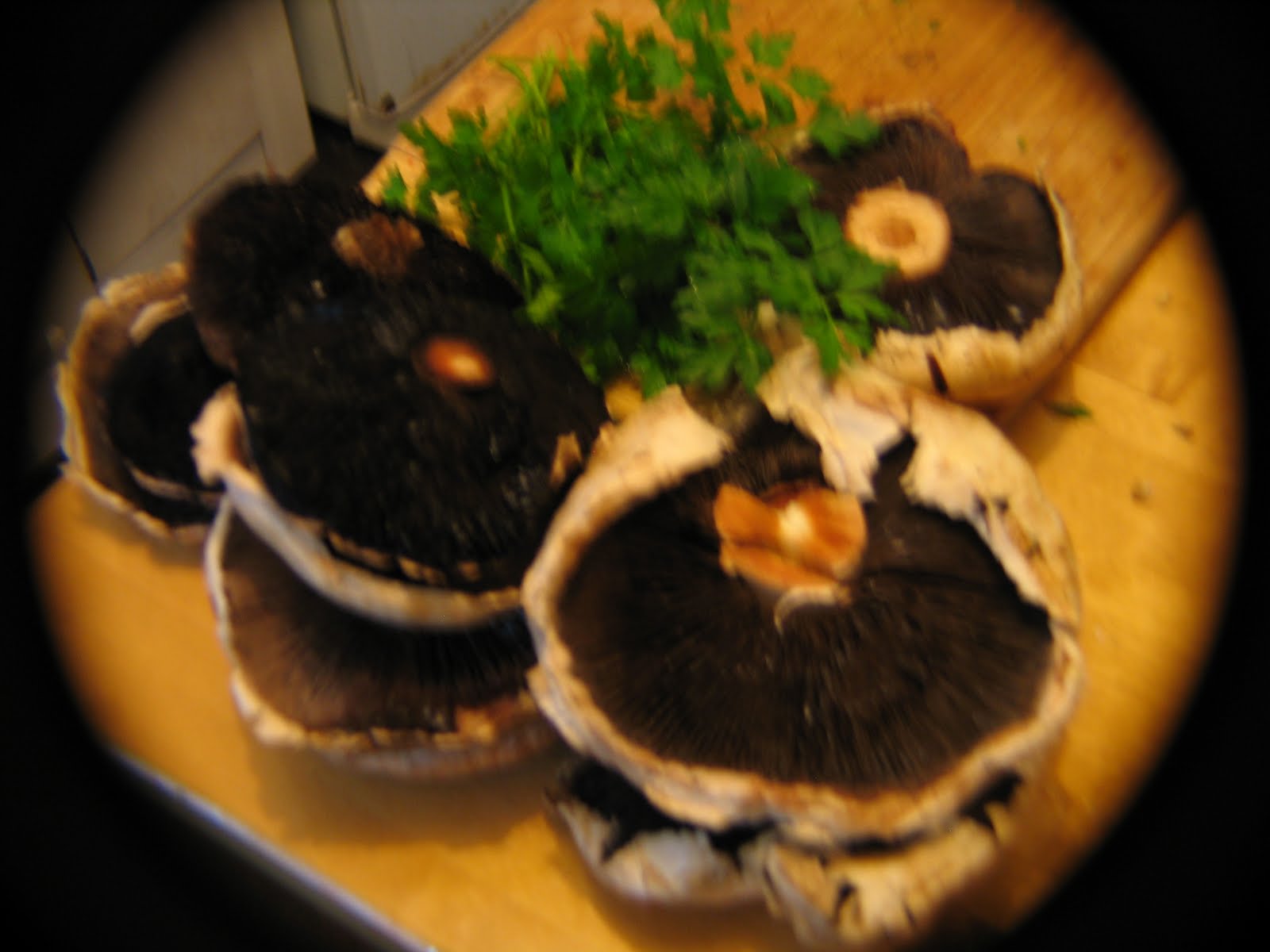 [IMG_5153.JPG]