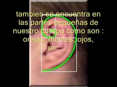razón dorada razón dorada