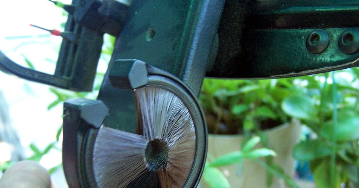 Ozark Oddments One should always have a fresh whisker biscuit