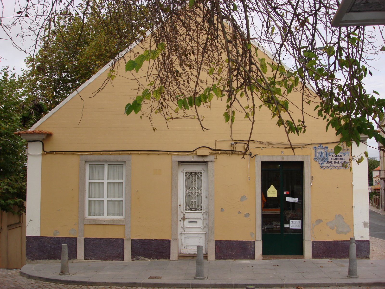 [DSC00998.JPG]