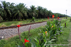 El tren fantasma