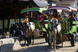 Sumbawa, tierra de caballos