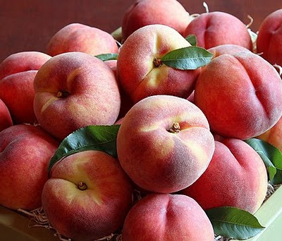 Oregon Peaches Oregon Peaches