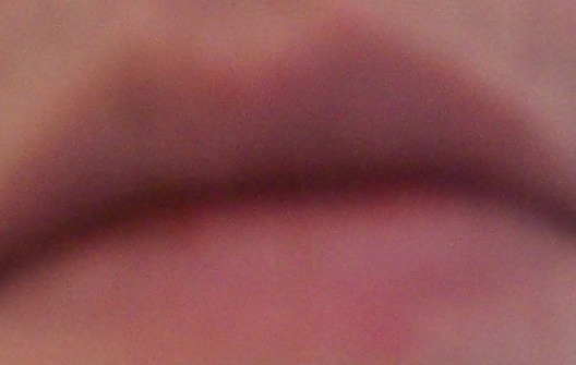 [100_9315.JPG]