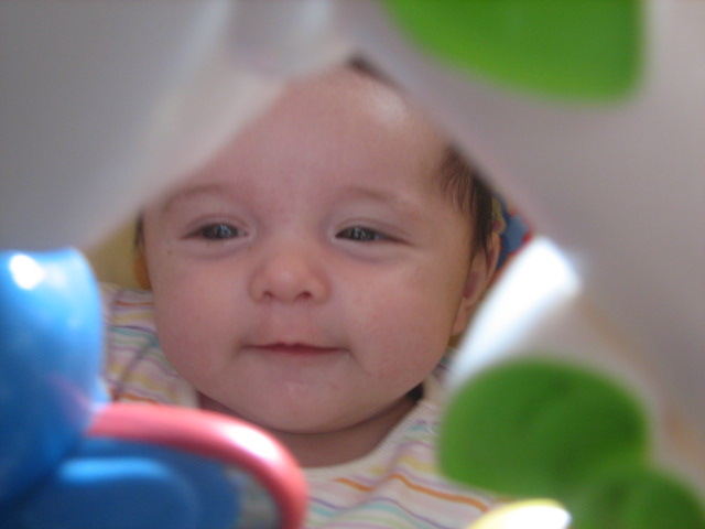 [IMG_5006.JPG]