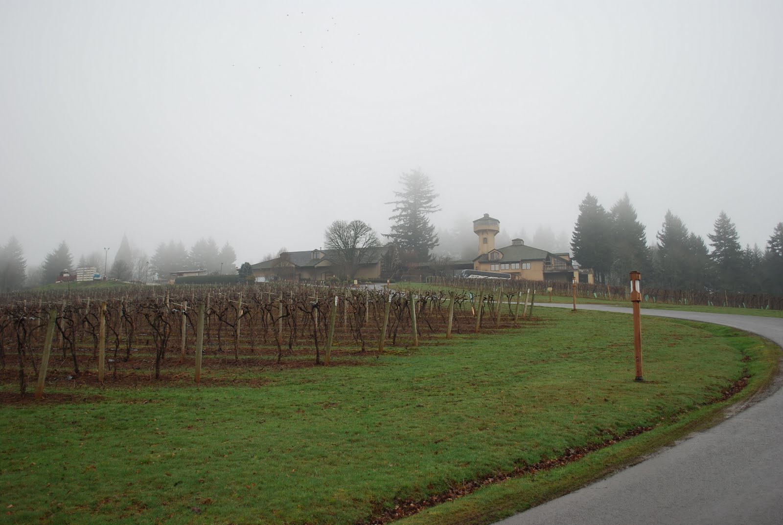 [DSC_0142.JPG]