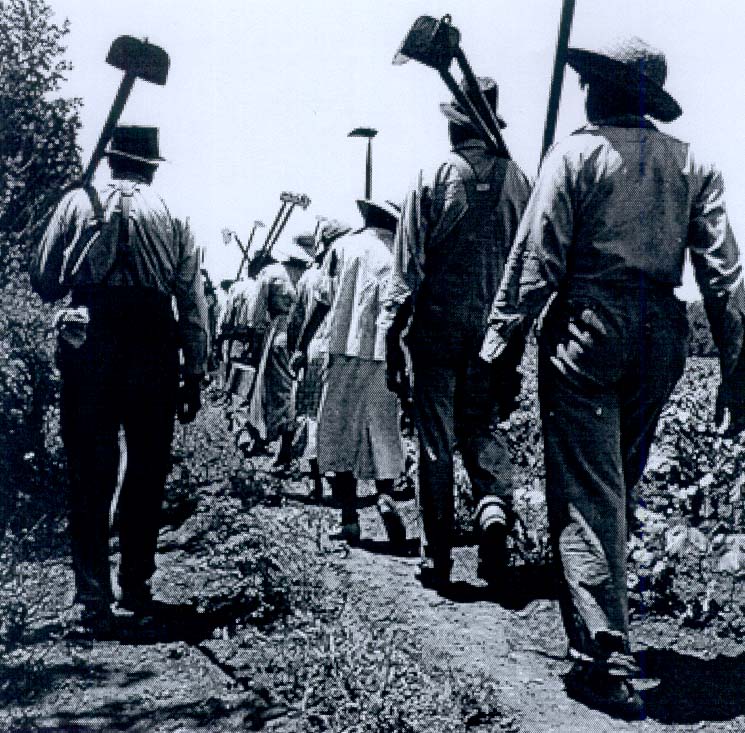 Deep Art Nature Field Hollers, Work song