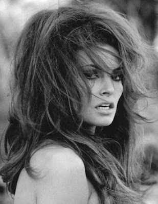 Raquel Welch Bewitched
