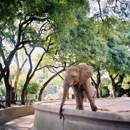 [0126361-R1-E264.jpg]