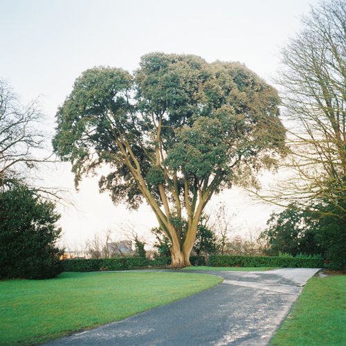 [0110792-R1-E030.jpg]