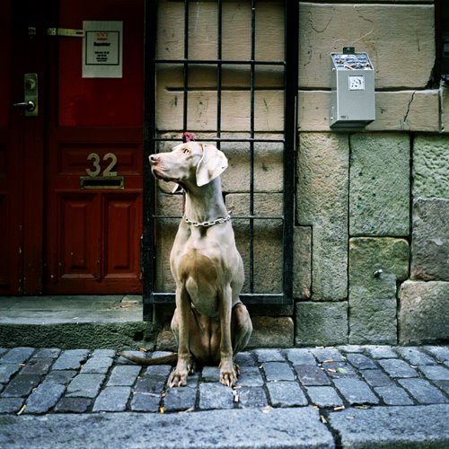 [0001974-R1-E012.jpg]