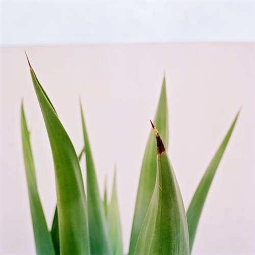 [0005632-R1-E032.jpg]