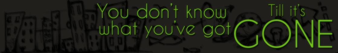 You don't know what you've got, till it's gone..