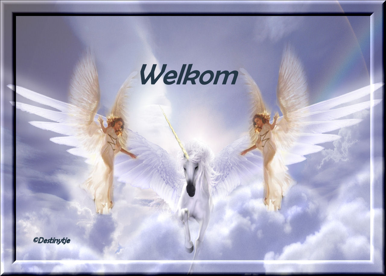 welkom.jpg