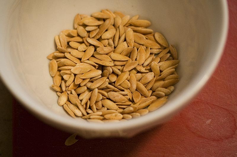 Che Mondo Bello On Eating Roasted Melon Seeds