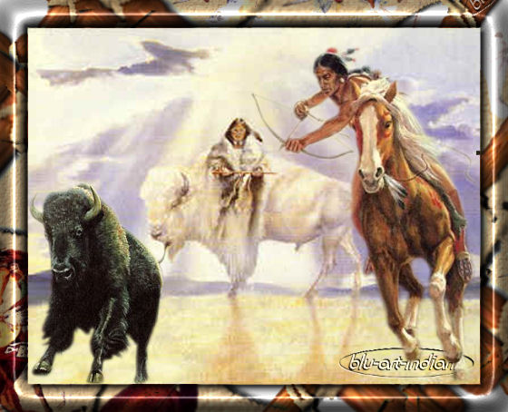 [BISONTE+BIANCO.jpg]