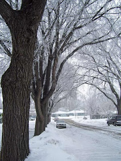We are in a frosty winterland.